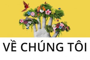5 sự thật về nội thất Cosp khiến bạn bất ngờ
