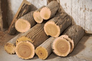 Gỗ đàn hương - loại gỗ đắt giá nhất thế giới có gì khác biệt?