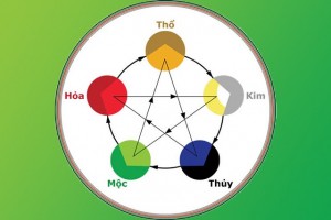 Mệnh Mộc hợp màu gì, kỵ màu gì? Cách chọn màu tương sinh, tương hợp