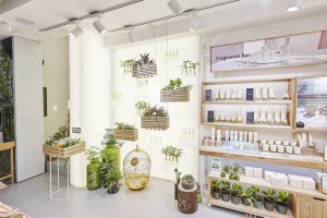 Những chi tiết khi thiết kế shop mỹ phẩm không được bỏ qua