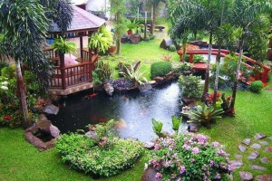 Setup sân vườn đẹp tự làm thực ra không khó như bạn nghĩ