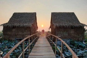 Những mô hình homestay bạn sẽ chỉ có thể thấy ở Việt Nam