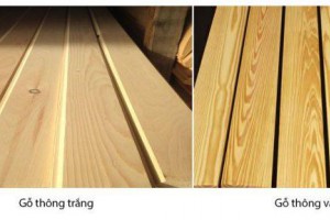 Sử dụng gỗ thông ghép thanh cho ý tưởng thiết kế shop thực phẩm sạch