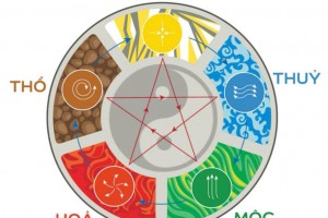 TUỔI NÀO HỢP KINH DOANH TRÀ SỮA?