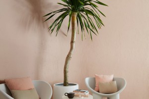 Thiết kế shop mỹ phẩm màu hồng Pastel lạ mắt cuốn hút mọi ánh nhìn