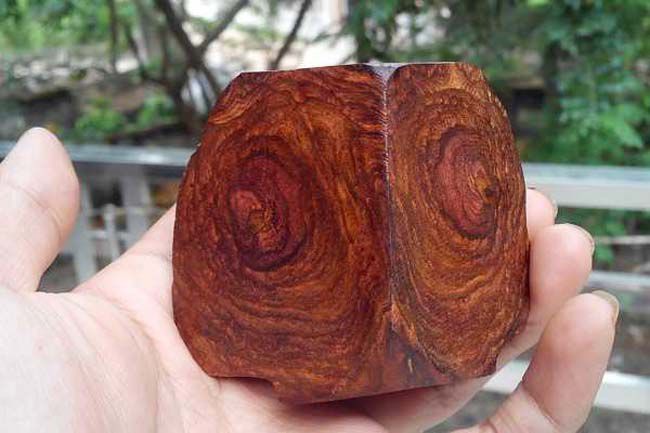 Gỗ sưa được nhận biết bằng màu sắc và mùi