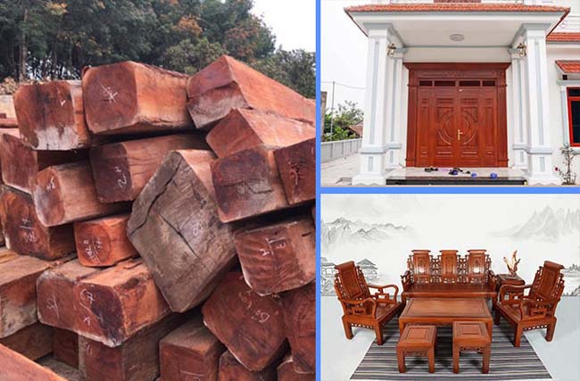 Gỗ căm xe được sử dụng trong nhiều không gian nội thất 