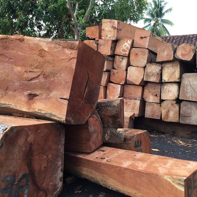 Gỗ căm xe bền bỉ, ít bị mối mọt