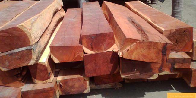 Gỗ hương đá thuộc nhóm gỗ quý hiếm
