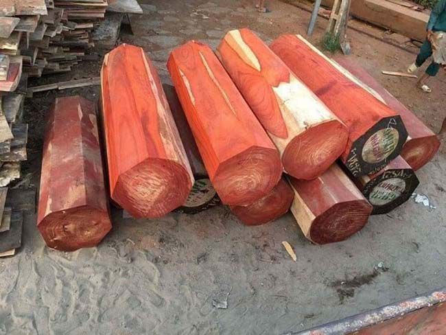 Gỗ giáng hương có màu đỏ tươi