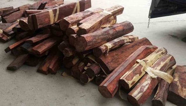 Gỗ trắc đa dạng chủng loại