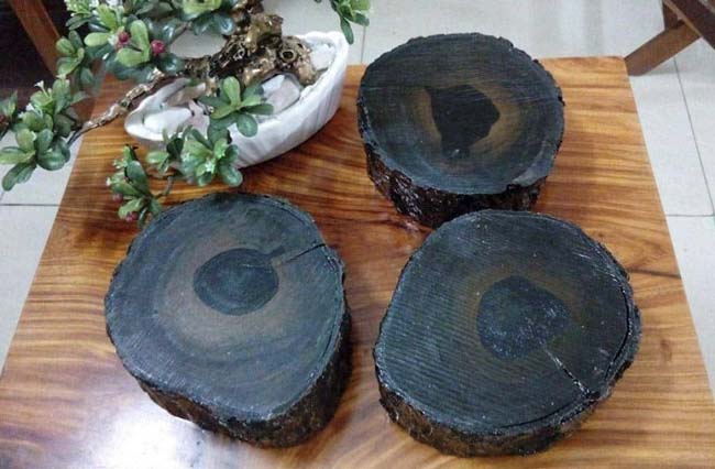 Gỗ mun là loại gỗ quý hiếm 