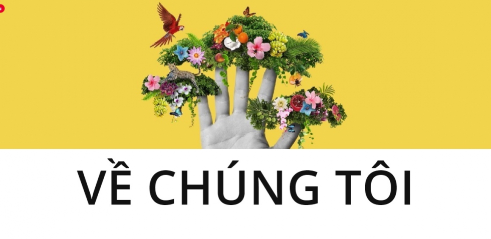 5 sự thất về nội thất Cosp