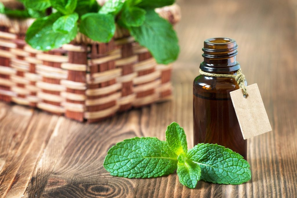 Tinh dầu bạc hà trong spa