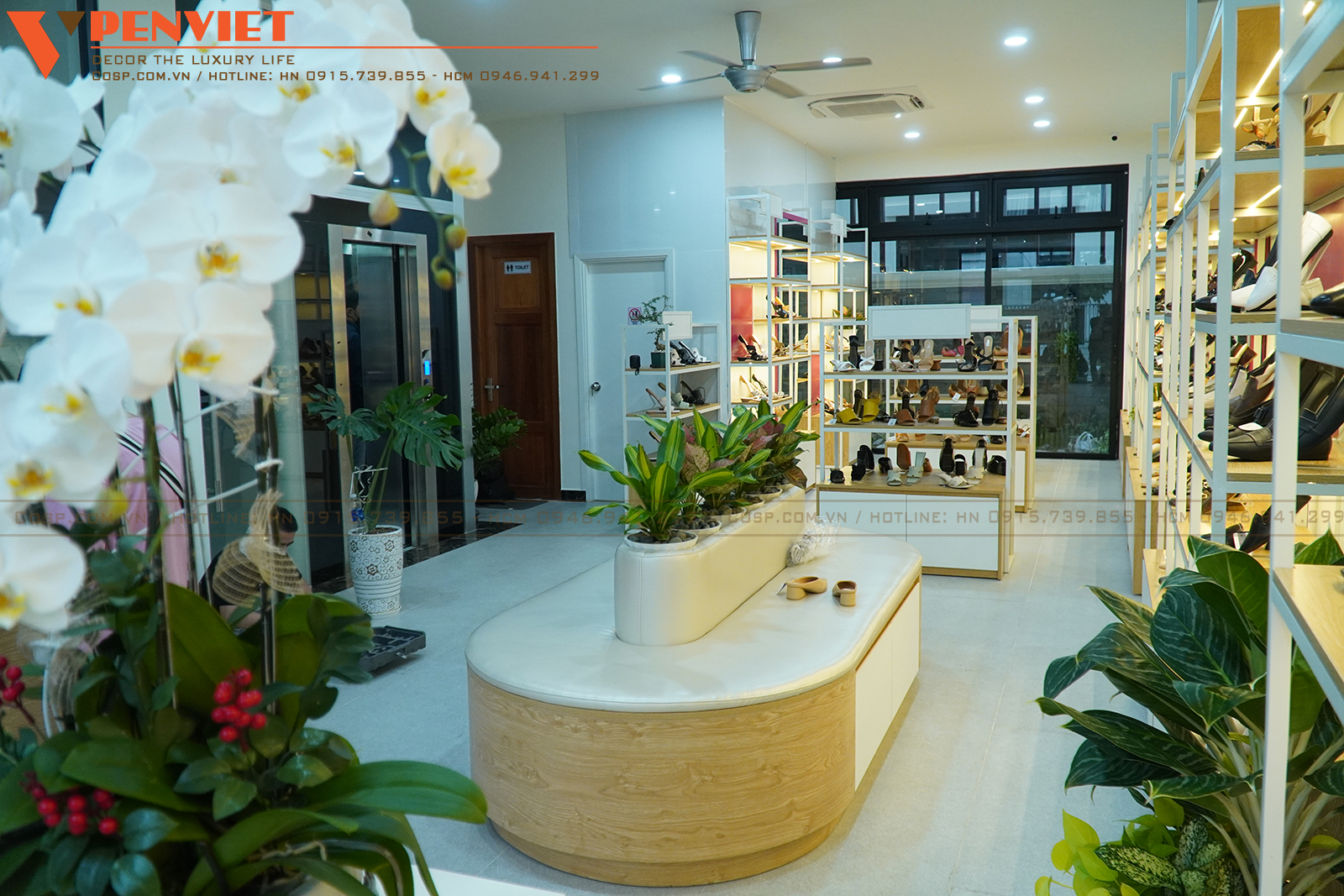 Thiết kế shop giày Yomi