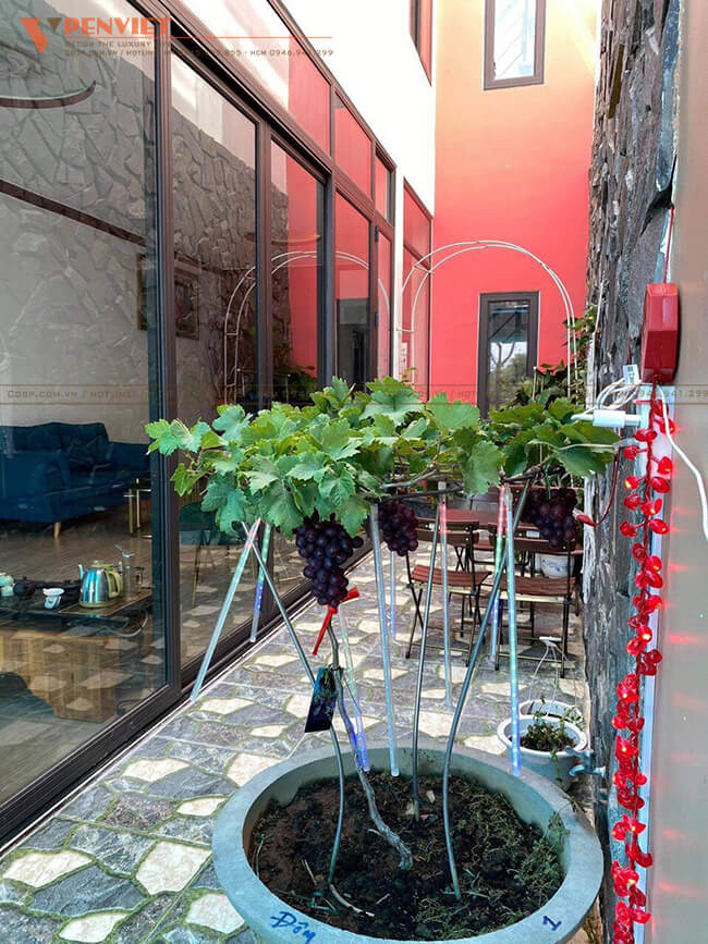 Hiện trạng mặt bằng