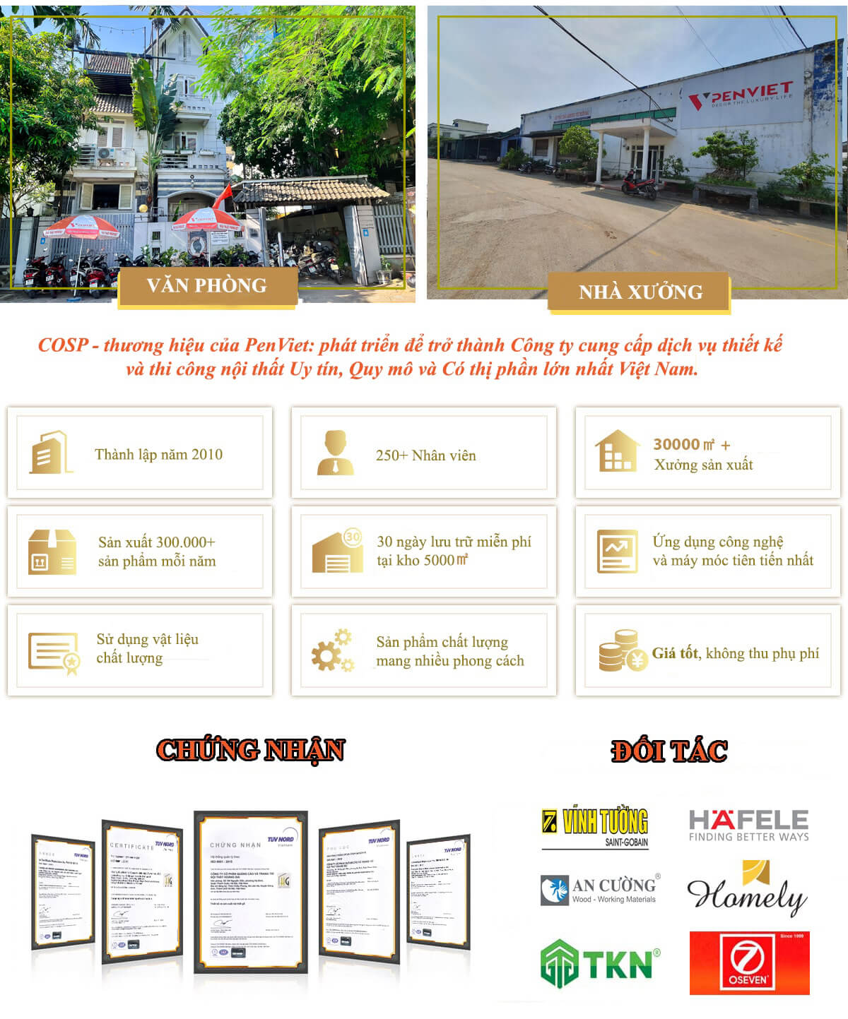 Giới thiệu công ty