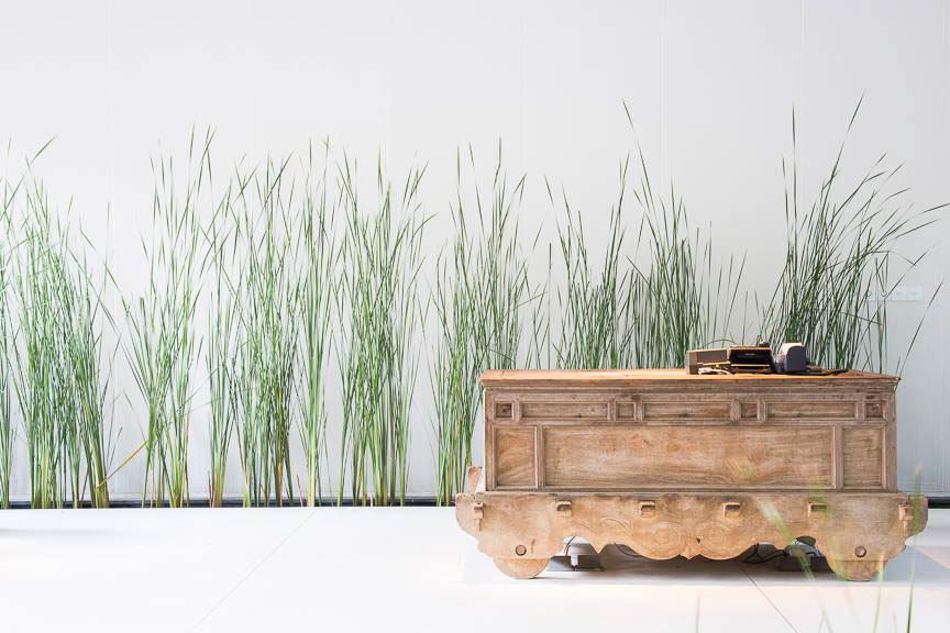 Thiết kế nội thất mộc mạc, giản dị cho spa