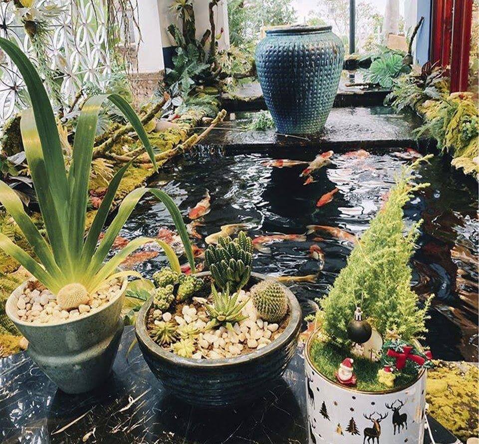 ​Xây dựng hồ cá đạt chuẩn là điều cần được chủ đầu tư lưu tâm