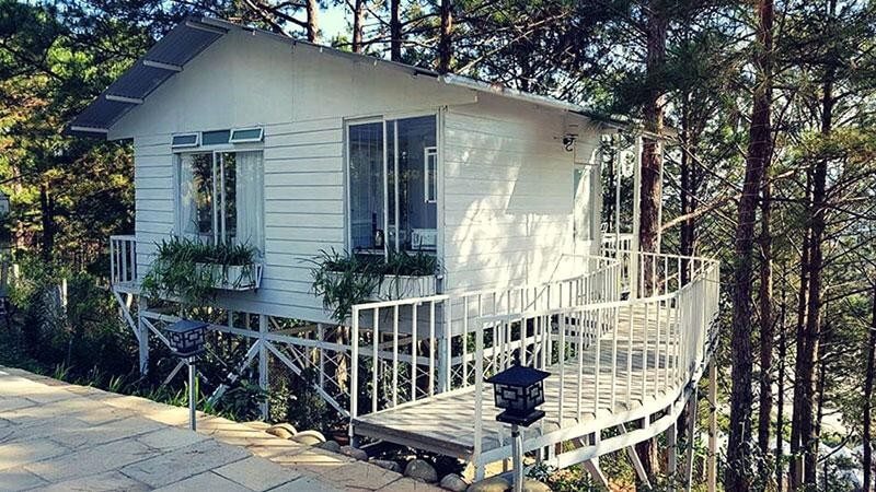 ​Thiết kế homestay xinh xắn