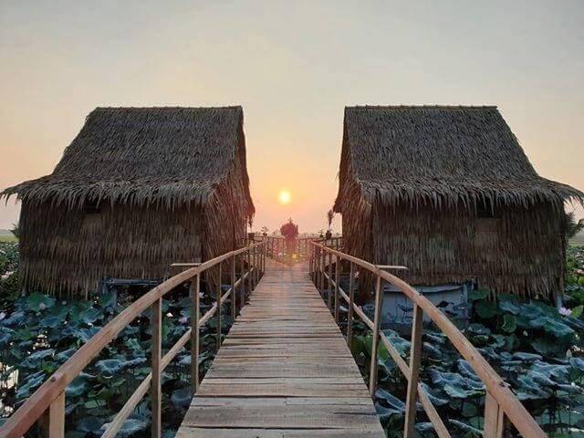 Không gian thoáng rộng là đặc trưng của những homestay miệt vườn miền Tây