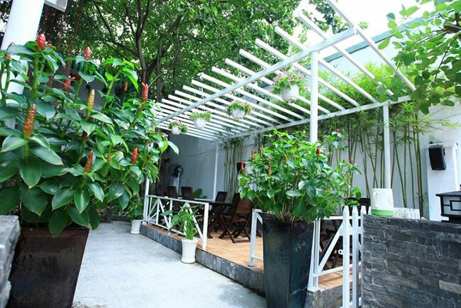 Cây xanh tạo sự thoáng mát, trong lành