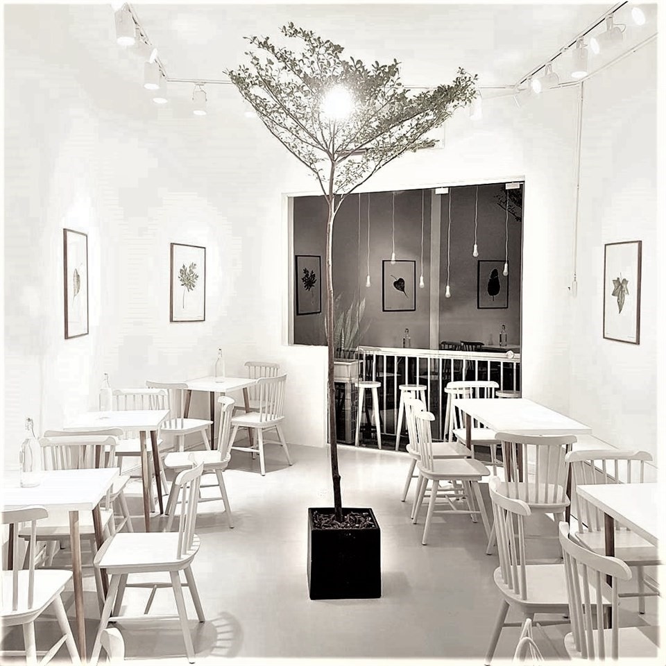 Ngoài tạo nên sự tinh tế, đây còn là màu sắc tạo hiệu ứng thị giác hiệu quả